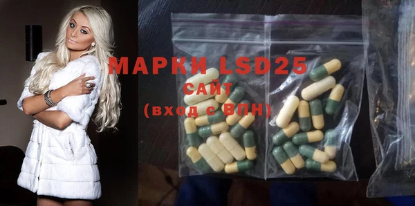 амф Ладушкин