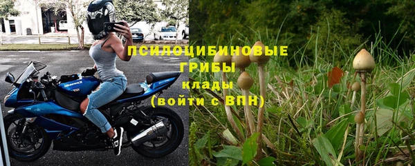 дживик Кукмор