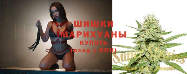 амф Ладушкин