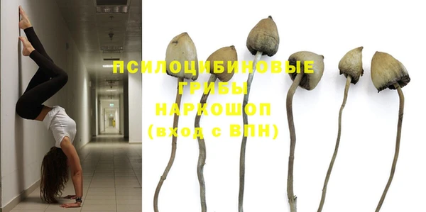 мет Липки