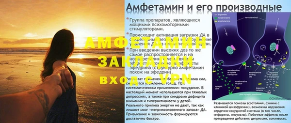 амф Ладушкин