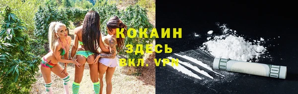 ГАЛЛЮЦИНОГЕННЫЕ ГРИБЫ Куйбышев